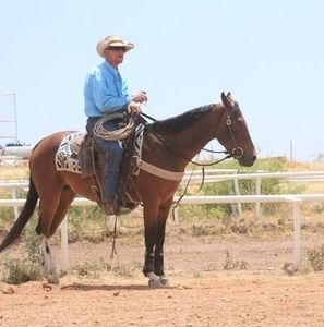 Meet your Posher, Kurtis